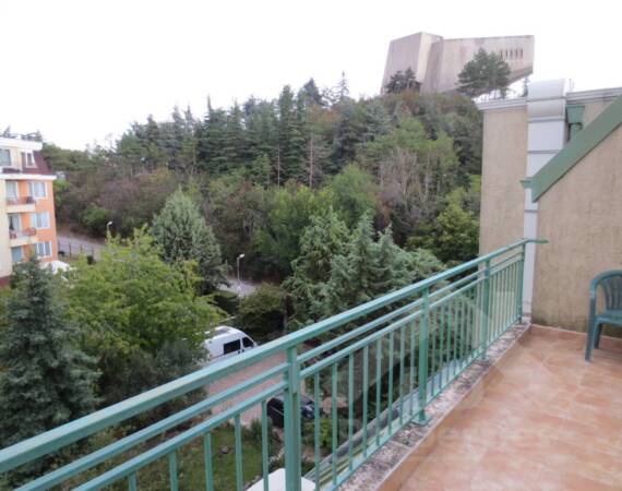 foto7